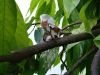 Nom du fichier=IMG_20171203_174440.jpg
Taille du fichier=485Ko
Dimensions : 1500x1125
Ajouté le : 04 Décembre 2017 IMG_20171203_174440.jpg