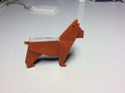 Boxer
