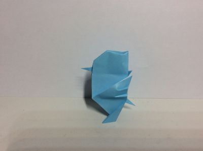 Petit oiseau
