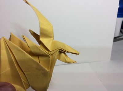 Tête du dragon
