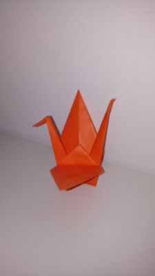 20161102_210342.jpg