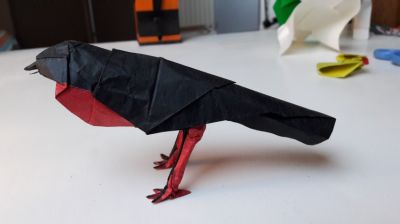 20170209_180540bis.jpg