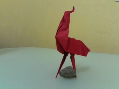 rooster_liu_0217
kami 15x15
