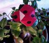 Nom du fichier=coccinelle_ori_0317.jpg
Taille du fichier=323Ko
Dimensions : 1362x1201
Ajouté le : 04 Mars 2017 coccinelle_ori_0317.jpg
