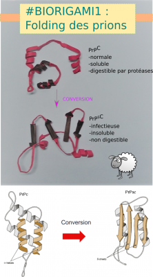 PcjduBiorigami1~0.png