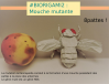 PcjduBiorigami2.png