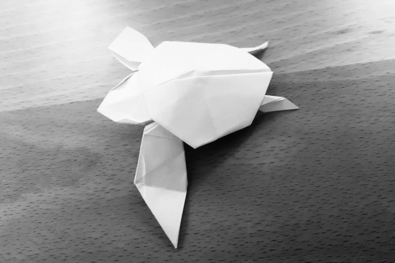 Green turtle (Jacky Chan)
