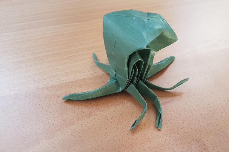 Otopus (Cadapac)
