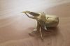 Nom du fichier=hercules-beetle.jpg
Taille du fichier=86Ko
Dimensions : 800x533
Ajouté le : 24 Novembre 2018 hercules-beetle.jpg