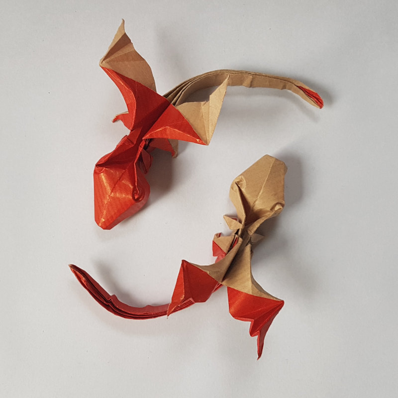 Baby lizard dragon (Riccardo Foschi)
