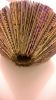 Nom du fichier=WP_20170928_00_09_48_Selfie.jpg
Taille du fichier=388Ko
Dimensions : 1152x2048
Ajouté le : 28 Septembre 2017 WP_20170928_00_09_48_Selfie.jpg