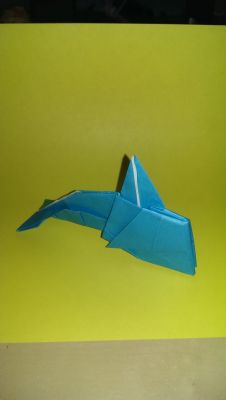 Dolphin
