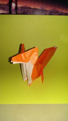 Fox - Jo Nakashima

