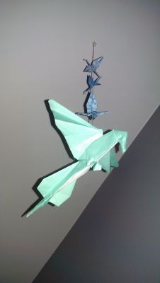 Colibri
