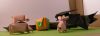 Nom du fichier=DSCN4297.jpg
Taille du fichier=127Ko
Dimensions : 2048x745
Ajouté le : 11 Février 2018 DSCN4297.jpg