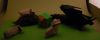 PPC.jpg