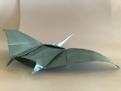 Manta_3-4.JPG