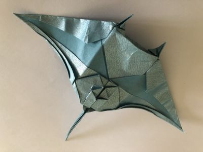 Manta_dessous.JPG