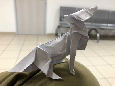 fox
test
