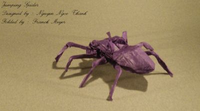 spider_-_0.jpg
