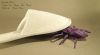 Nom du fichier=spider_-_1.jpg
Taille du fichier=284Ko
Dimensions : 2048x1134
Ajouté le : 29 Octobre 2018 spider_-_1.jpg