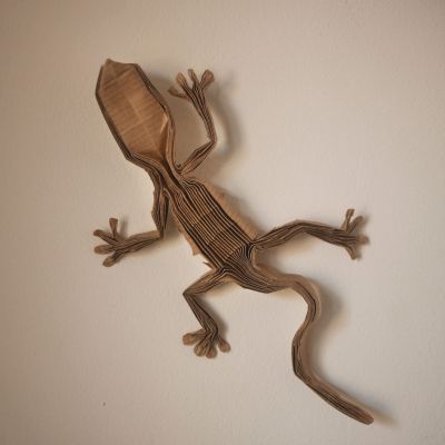 Gecko - Riccardo Foschi
Premier CP
