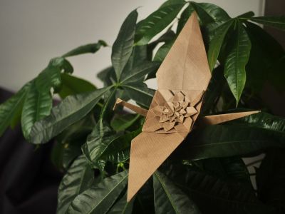 Hydrangeas Crane - Kagura
https://www.youtube.com/watch?v=mHscU1UcbPQ
