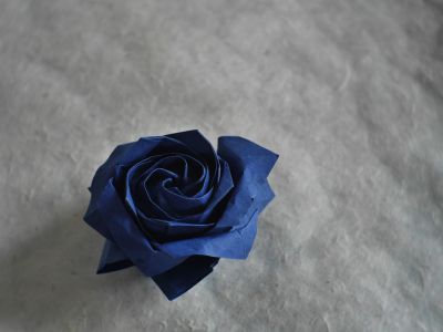 Pentagon Rose - Naomiki Sato

