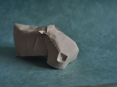 Hippo - Jose Herrera
