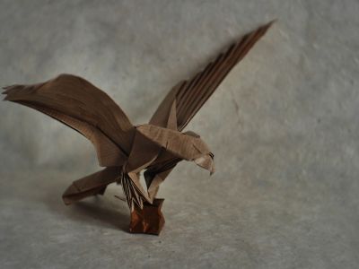 American eagle - Jo Nakashima
