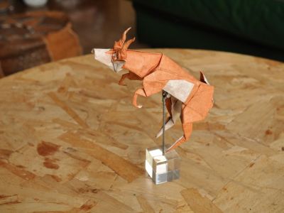 Springbok - Quentin Trollip
