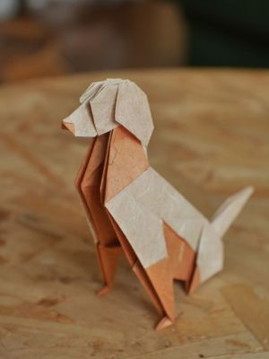 Chien - Seth Friedman
