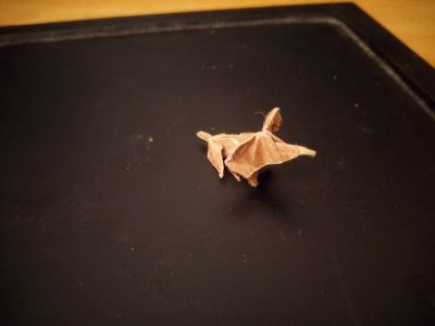 elephant1.jpg