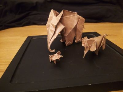 elephant_groupe.jpg