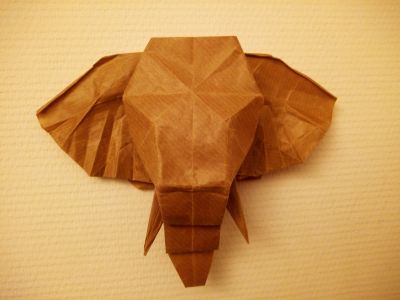 elephant_tete.jpg