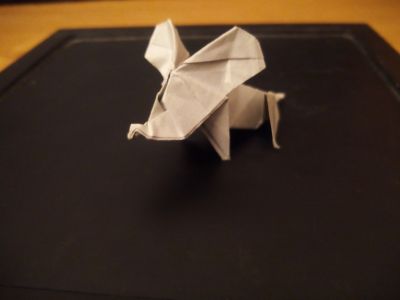 elephanteau.jpg