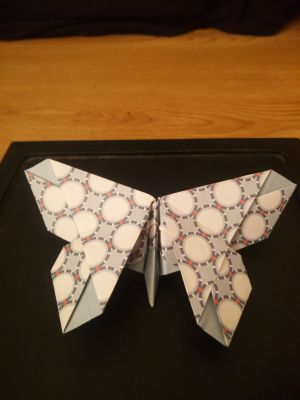 papillon.jpg