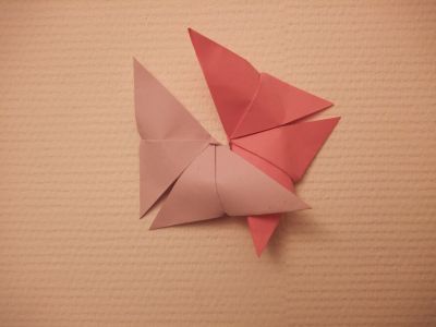papillon_simple.jpg