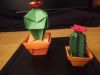 cactus.jpg