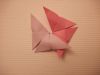 Nom du fichier=papillon_simple.jpg
Taille du fichier=3271Ko
Dimensions : 4160x3120
Ajouté le : 26 Novembre 2019 papillon_simple.jpg