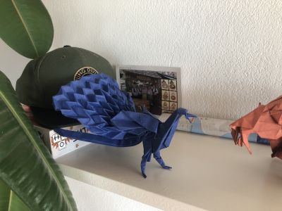 Paon de Satoshi Kamiya
Papier biotope
