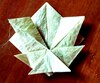 maple-leaf_01.jpg