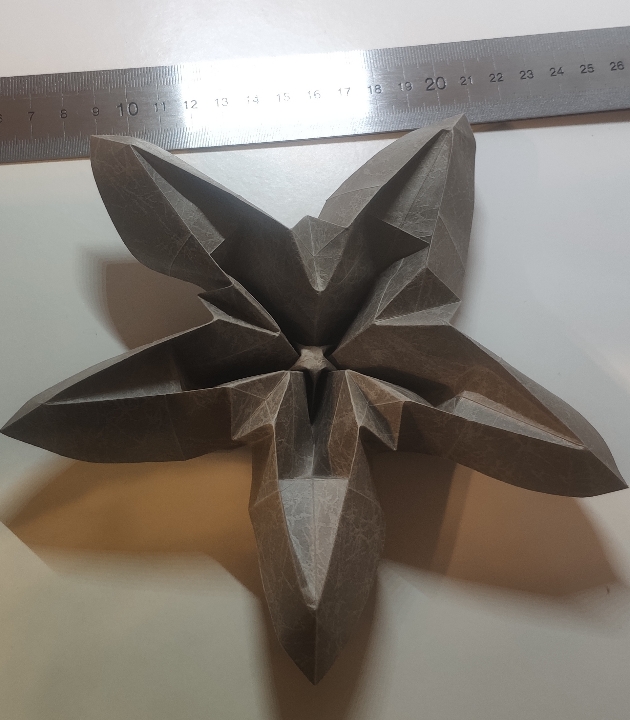 Remrose de José Meeusen
Plié à partir d'un hexagone issu d'un carré de rouketsu en 24cm
