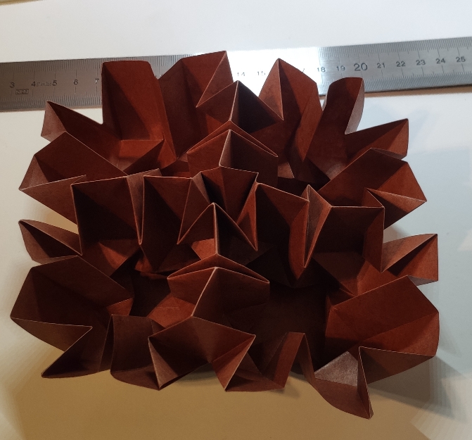 Box-shaped flower de Goran Konjevod
Plié à partir d'un peai d'éléphant de 30cm
