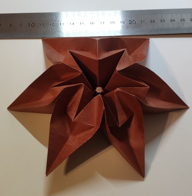 Tatjana de Carmen Sprung
Papier inconnu, hexagone issu d'un carré de 24cm

