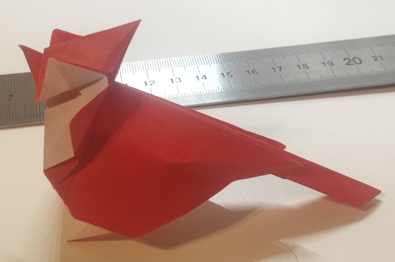 Cardinal de Quentin Trollip
Plié à partir d'un kami de 15cm
