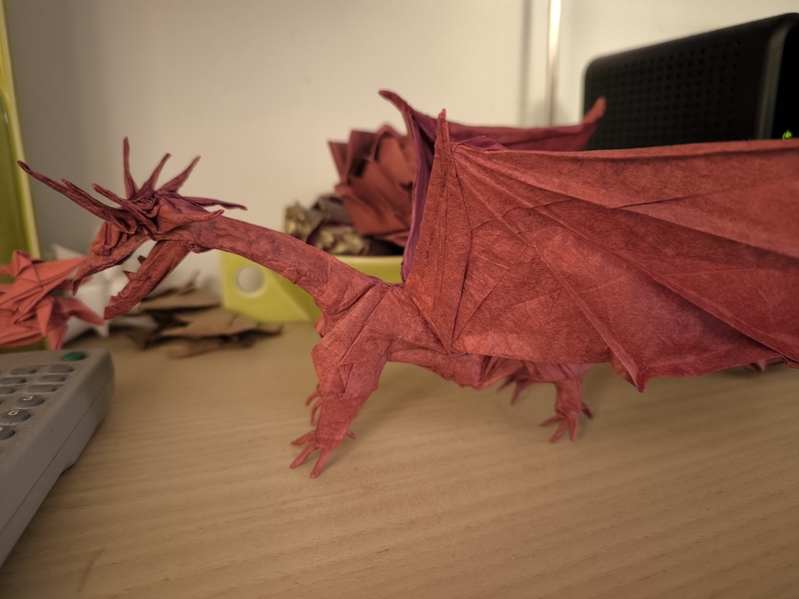 Ancient dragon Satoshi KAMIYA
Papier : double soie 70cm
