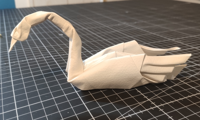 Cygne d'Eric JOISEL
Papier arches 24cm wetfolding
