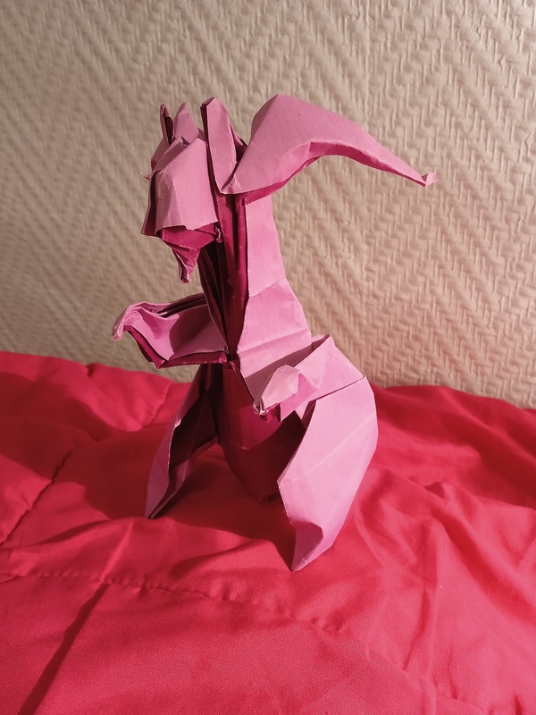 Muplodocus
Papier kraft rose & mauve provenant d'un bouquet
Mots-clés: pokemon bicolore