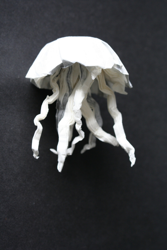 Méduse
Mots-clés: animal Meduse mer marin
